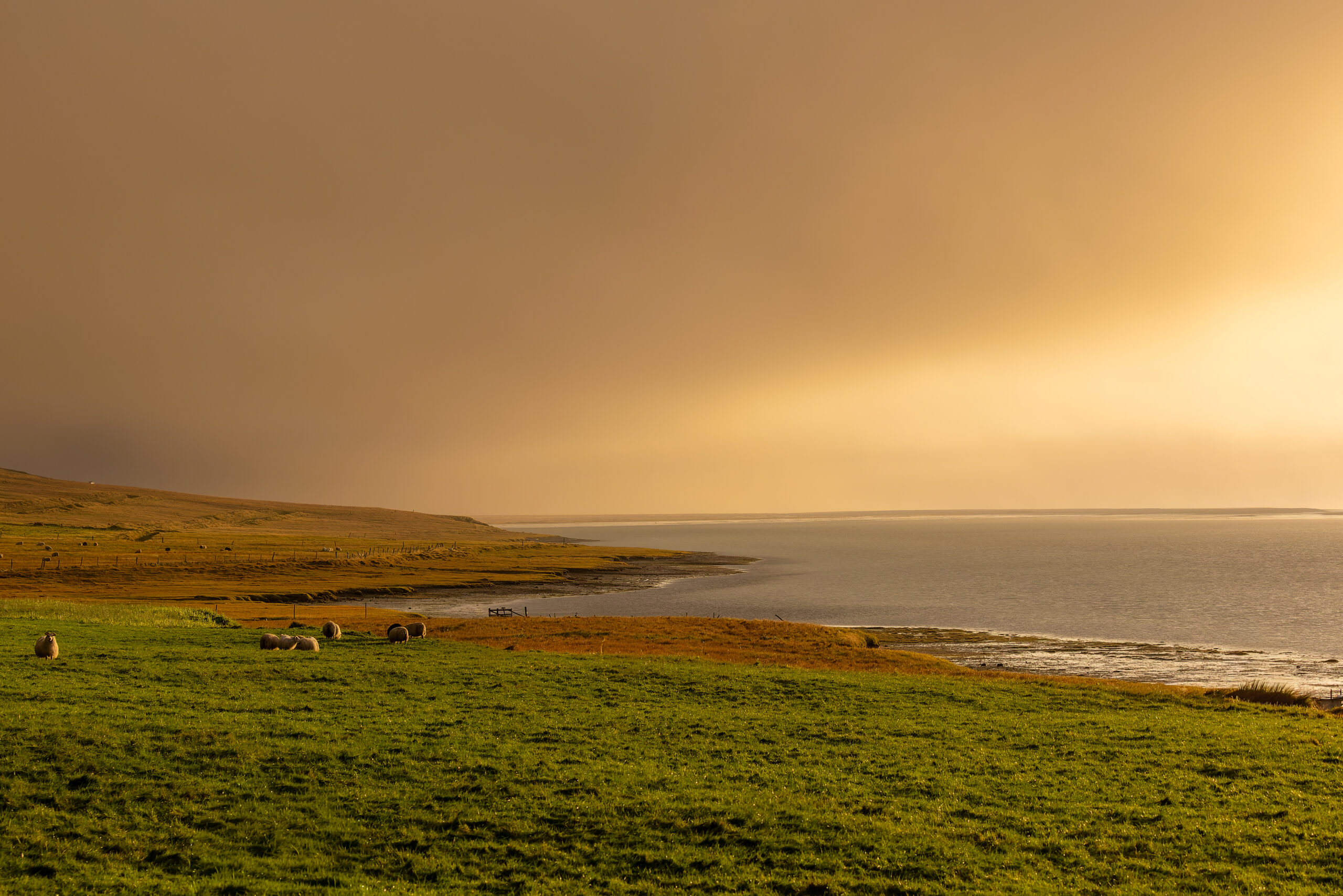 Webinar | Islandia DobrymOkiem - obrazek 3