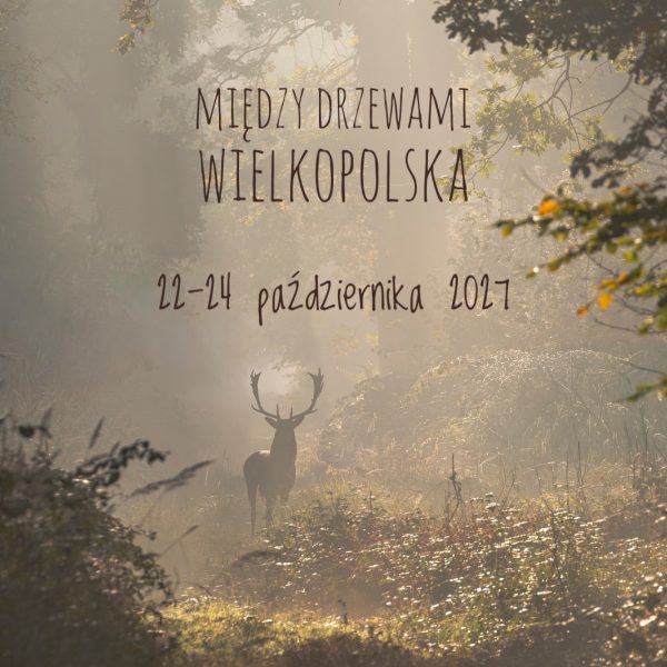 Między Drzewami | Wielkopolska 2027