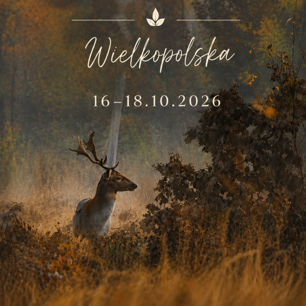 Między Drzewami | Wielkopolska
