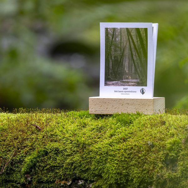 kalendarz przyroda natura